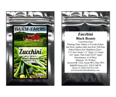 Zucchini Black Beauty