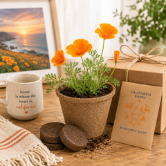 California Poppy Grow Kit