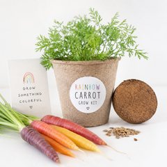 Rainbow Carrot Grow Kit