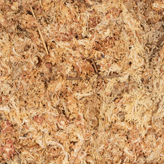 Sphagnum Moss Brick- Nursery