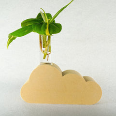 Cloud Propagation