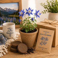 Colorado Blue Columbine Grow Kit
