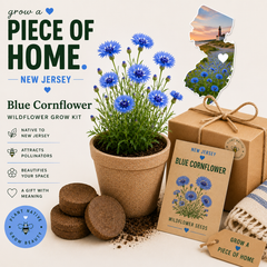 New Jersey Blue Cornflower Wildflower Grow Kit