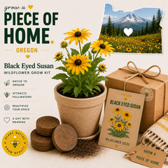 Oregon Black Eyed Susan Wildflower Grow Kit