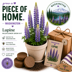 Washington Lupine Wildflower Grow Kit