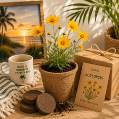 Florida Coreopsis Wildflower Grow Kit