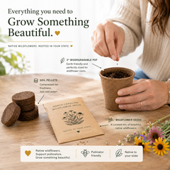 Tennessee Purple Coneflower Wildflower Grow Kit