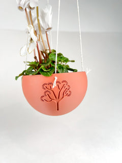 Hanging Joshua Tree Planter
