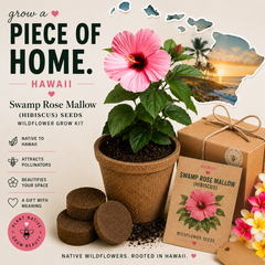 Hawaii Swamp Rose Mallow (Hibiscus) Grow Kit