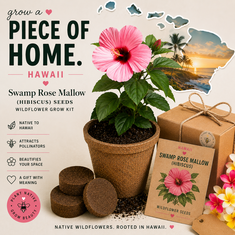 Hawaii Swamp Rose Mallow (Hibiscus) Grow Kit