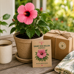 Hawaii Swamp Rose Mallow (Hibiscus) Grow Kit