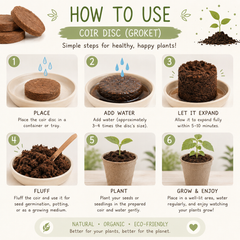 Seeds of Gratitude Grow Kit