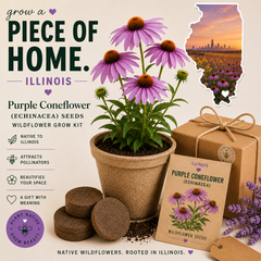 Illinois Purple Coneflower Grow Kit