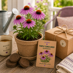 Illinois Purple Coneflower Grow Kit