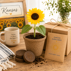Kansas Sunflower Grow Kit