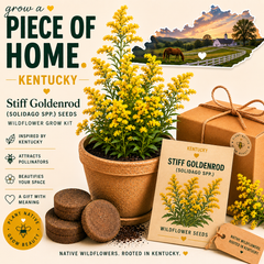 Kentucky Stiff Goldenrod Grow Kit