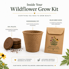Tennessee Purple Coneflower Wildflower Grow Kit