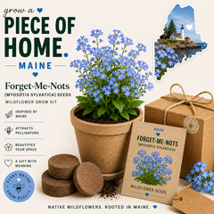Maine Forget-Me-Not Grow Kit