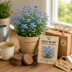Maine Forget-Me-Not Grow Kit