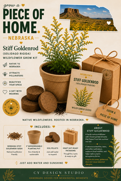 Nebraska Stiff Goldenrod Grow Kit