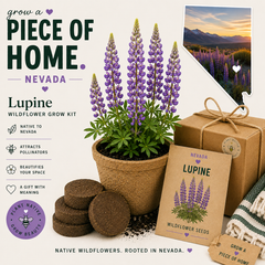 Nevada Lupine Grow Kit