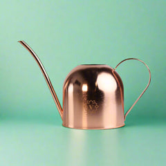 Lyfe Watering Can Rose Gold