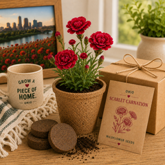 Ohio Scarlet Carnation Wildflower Grow Kit