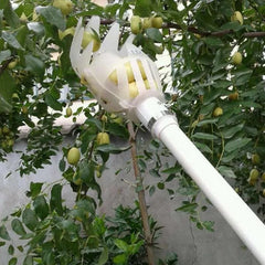 Plastic Fruit Picker Tool | Garden Harvesting Catcher Head for Trees and Orchards