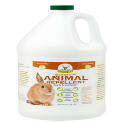 Bobbex Rodent Repellent - Ready to Use