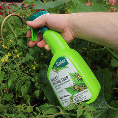 Safer Insect Killing Soap - Ready To Use