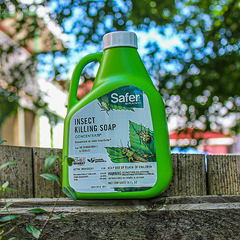 Safer Insect Killing Soap Concentrate