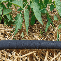 Dramm ColorStorm Soaker Hose