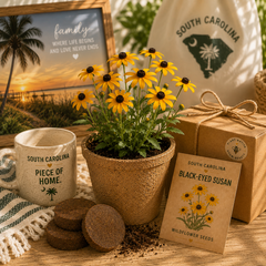 South Carolina Black-Eyed Susan Grow Kit