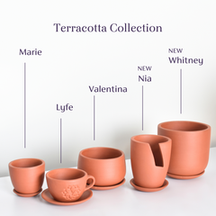 Lyfe Teacup Looking Terracotta  Planter - Empty
