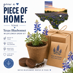 Texas Bluebonnet Grow Kit