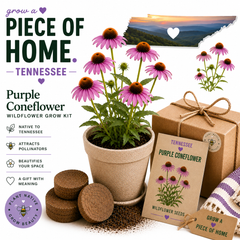 Tennessee Purple Coneflower Wildflower Grow Kit