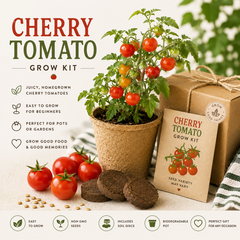 Cherry Tomato Grow Kit | Grow Your Own Tomatoes at Home