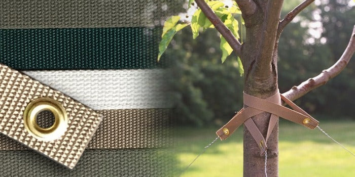 Tree Strap - Beige