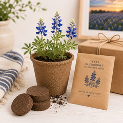 Texas Bluebonnet Grow Kit