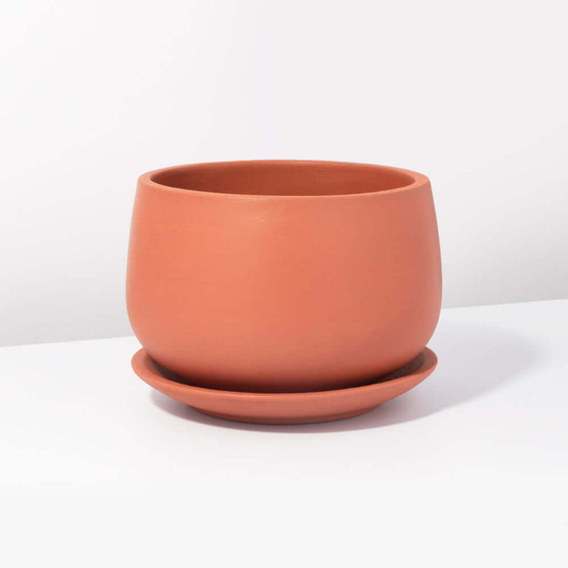 Valentina Terracotta Minimalist Planter 5.5