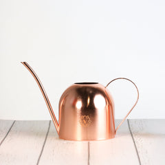 Lyfe Watering Can Rose Gold